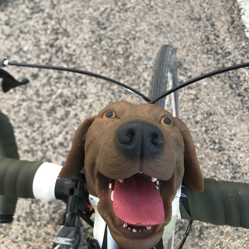 Meet your Posher, Michael